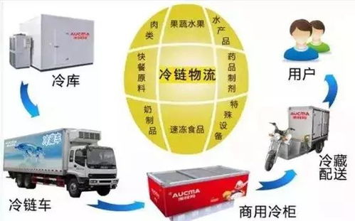 冷鏈物流 突破瓶頸、抓住機遇，推動普通貨運轉型升級